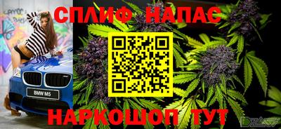 сатива Будённовск